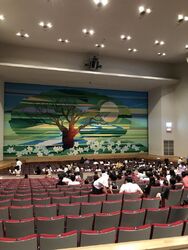 ひなたぼっこ主...