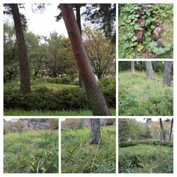 栃木市文化財の...