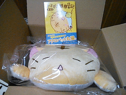 久々に訪れたら...