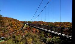 この日は、つつ...