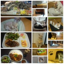 栃ナビで知り、...