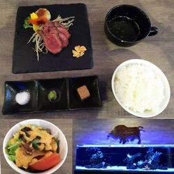 今日ははじめて...