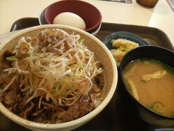 白髪ネギ牛丼が...