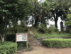 日課のウォーキ...