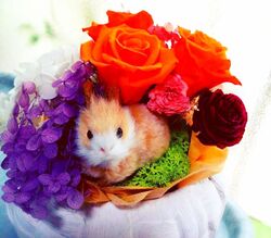 「お花が好き♡...