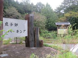 ここのパーキン...