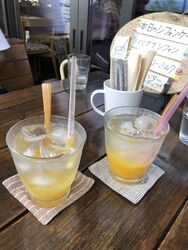 中禅寺湖周辺を...