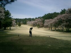 岡田プロのレッ...