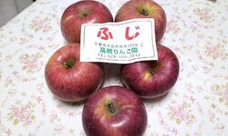 ろまんちっく村...