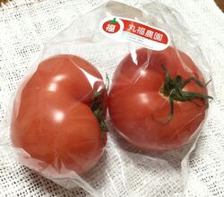 お世話になって...