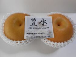 大田原市のトコ...