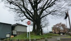 小金井駅近くの...