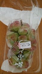 お盆のお使い物...