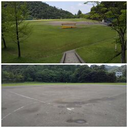 散歩に寄りまし...