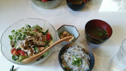 ランチで初訪問...