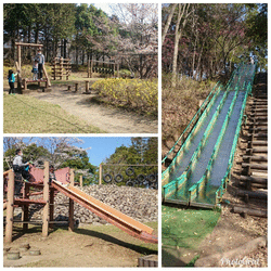 鹿沼運動公園 ヤオハン いちごパーク のクチコミ 口コミ 写真 鹿沼市 公園 鹿沼運動公園 ヤオハン いちごパーク のクチコミ 口コミ 写真 鹿沼市 公園