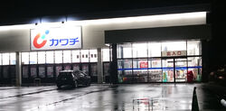 チラシにでてい...