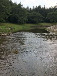 夏休みの真っ只...