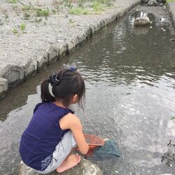 夏休みに行って...