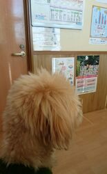 宇都宮に引っ越...