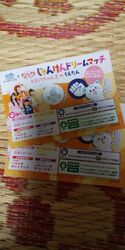 20日はTカー...