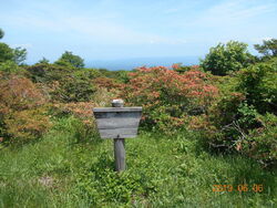 暑かったので、...