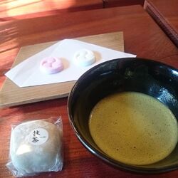 二荒山神社に来...