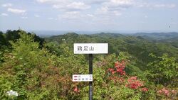 今シーズンの山...