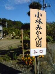 先月『いつから...
