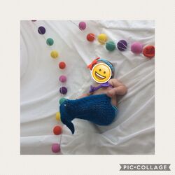 娘の写真撮影で...