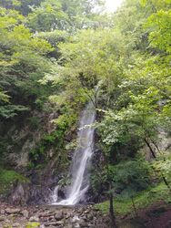 加蘇山神社から...