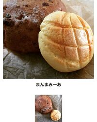 先ほど栃ナビポ...