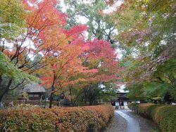 陶芸家“濱田庄...