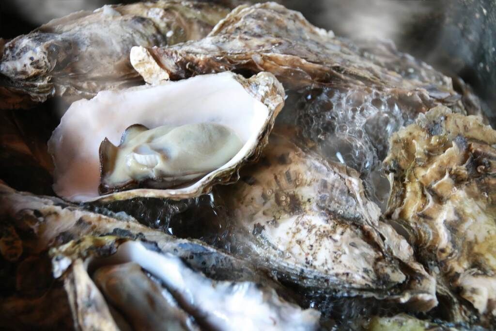 番屋 せい兵衛 宴会メニュー 宇都宮市 和風居酒屋