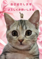 スタッフブログ