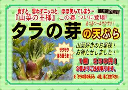売り切れ御免　タラの芽の天ぷら　今だけ！
