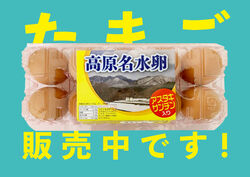 【NEW】卵の自動販売機が登場です！
