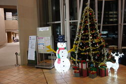 クリスマスツリーを設置しました!