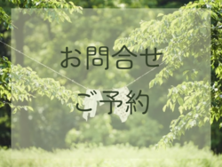 お問い合わせ・ご予約はLINEまたはInstagramから