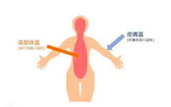 深部体温が大切です！
