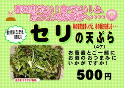 【春限定　新メニュー】せりの天ぷら