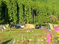 キャンプ場情報