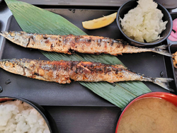 【数量限定】春の希少な初サンマ！