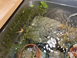 ▼△ 11月のお休み △▼