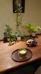 お茶のサービスがございます♪