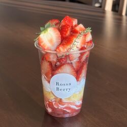 今シーズンも始まりました！