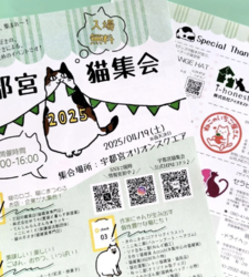 4月19日猫集会に出展