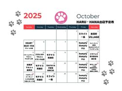 １０月の出店スケジュール♪