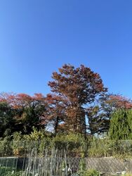 【格安で対応させていただきます！】見積もり無料！お気軽にお問い合わせくださいませ。