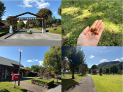 受付スタッフ☆募集中~~~♬